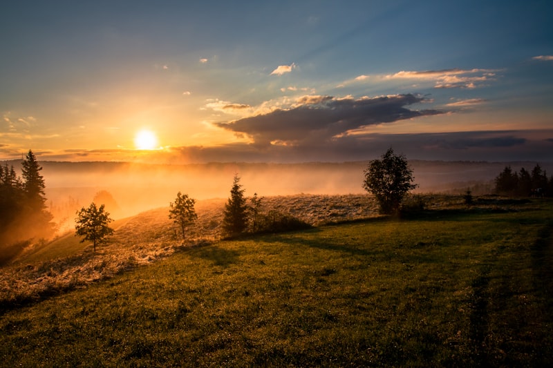 Golden sunrise over a misty rolling field with silhouetted trees